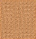 Nouvelle section BABILLARD dans les brèves