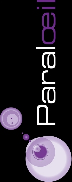 Offre d’emploi – Directeur (trice) général (e)