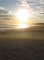 L'été chez Paraloeil