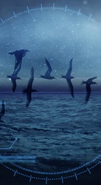  2e appel de projets pour PLAN LARGE