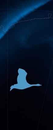 Candidats retenus pour ​Plan large​ 2016