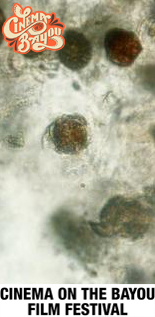 Ballast balade pour dinoflagellés - Festival Cinema on the Bayou 2020